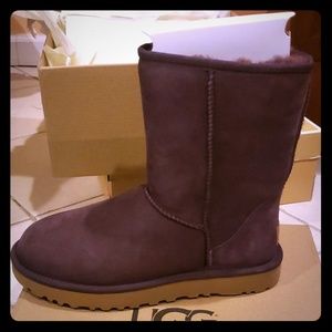 Brand new Uggs classic